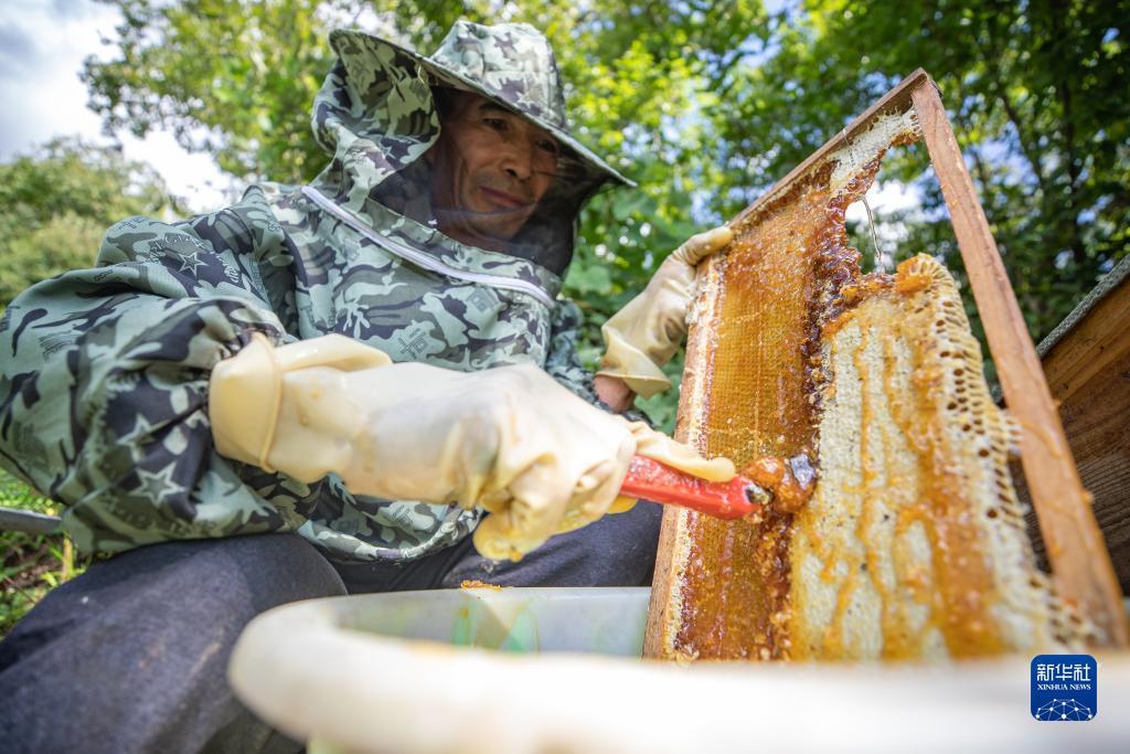 奥林会员登录